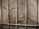 Gefängniszelle in der Festung Wilhelmstein